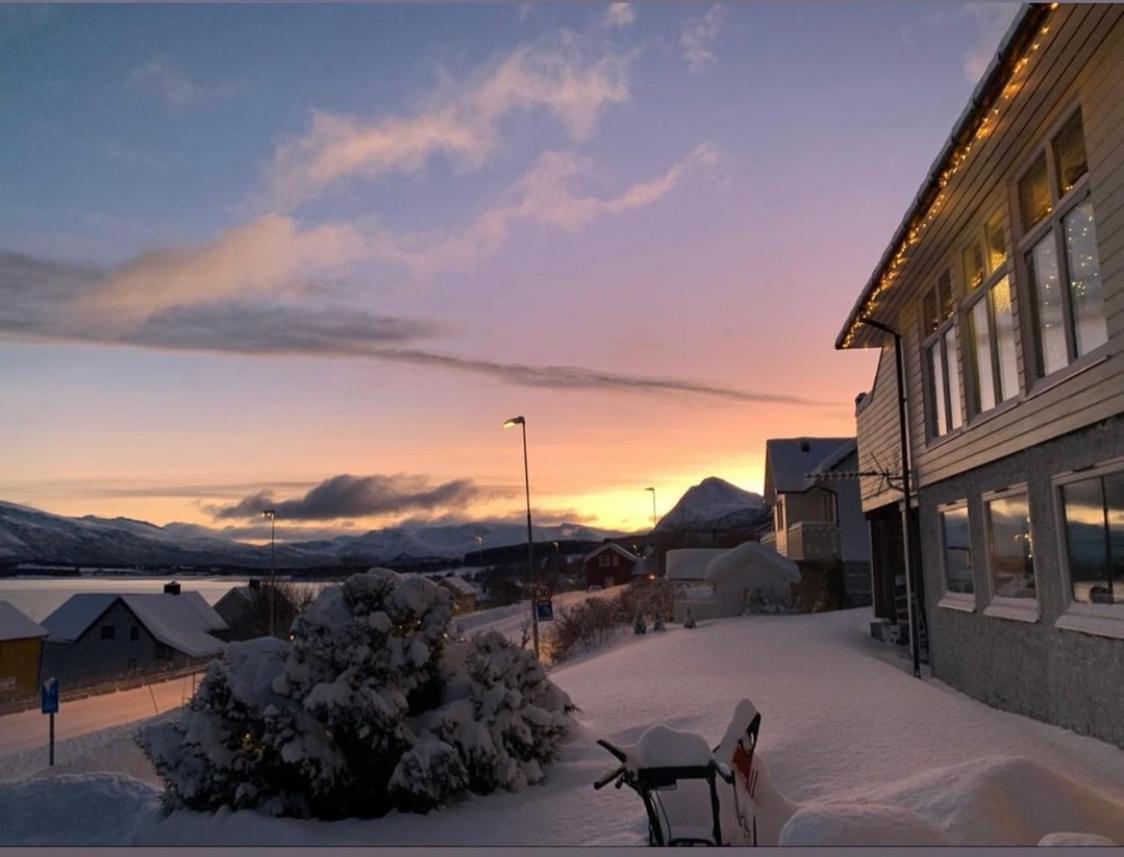 Lyngen, Mackay Appartment, Lyngen Lyngseidet Ngoại thất bức ảnh