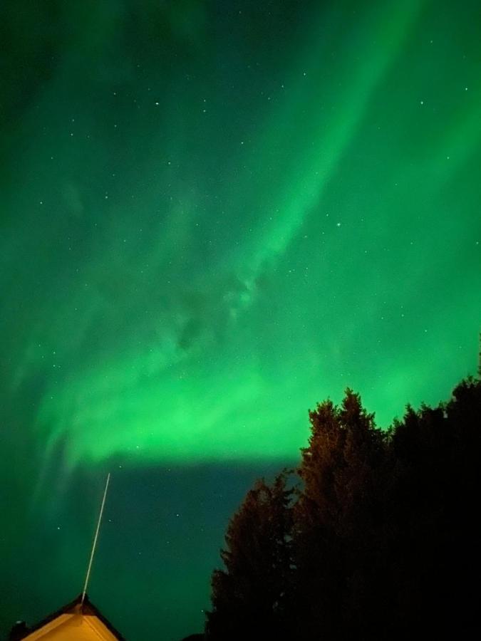 Lyngen, Mackay Appartment, Lyngen Lyngseidet Ngoại thất bức ảnh