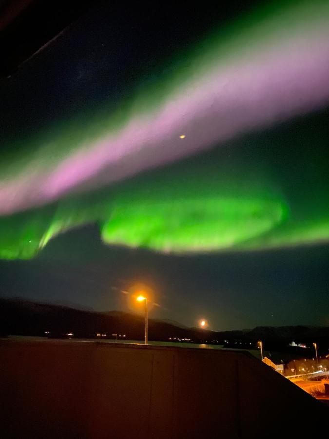 Lyngen, Mackay Appartment, Lyngen Lyngseidet Ngoại thất bức ảnh