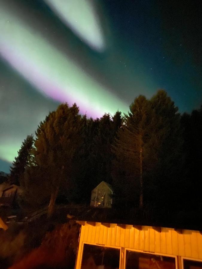 Lyngen, Mackay Appartment, Lyngen Lyngseidet Ngoại thất bức ảnh